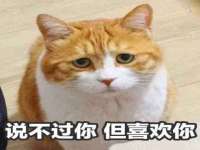 淮安婷云婷广告传媒有限公司
